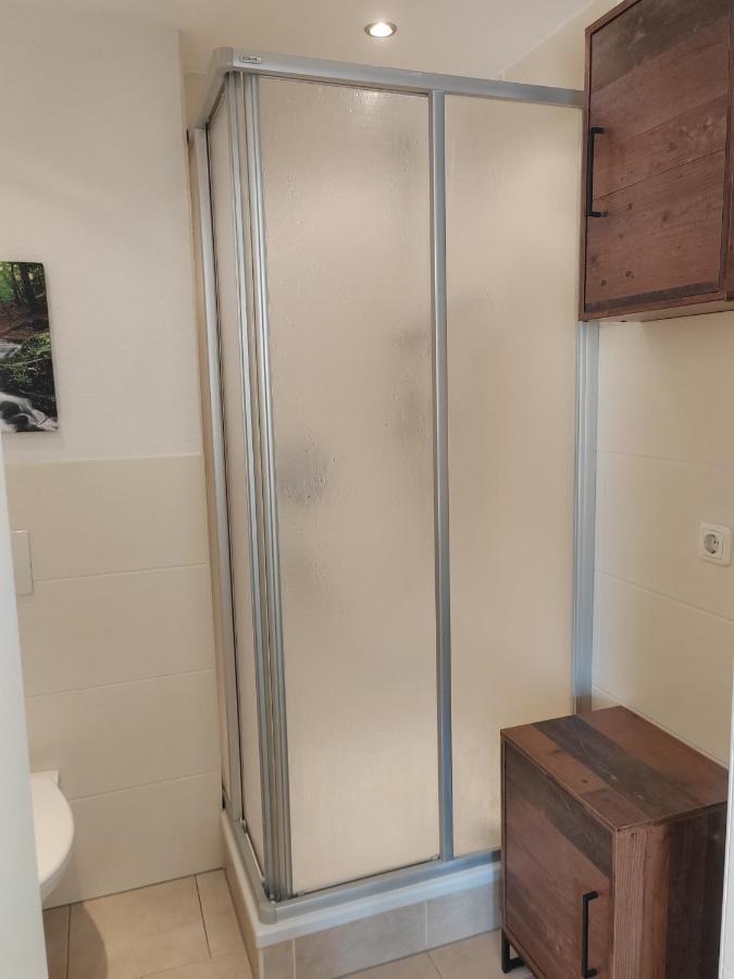 Ferienwohnung Elbtraum ピルナ エクステリア 写真